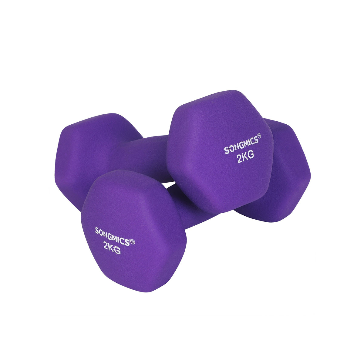 SPORTNOW Set de 2 discuri de 20kg din otel cu acoperire din cauciuc
