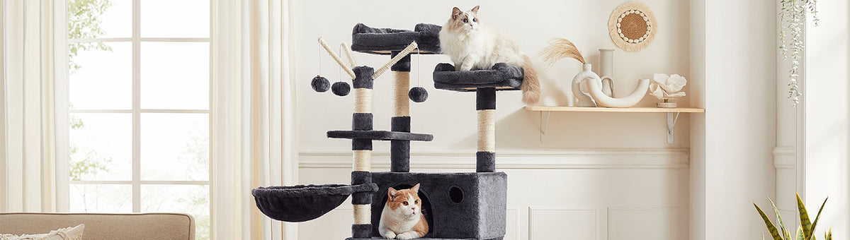 Benodigdheden voor katten