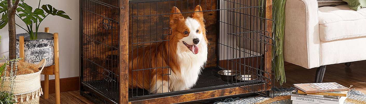 Benodigdheden voor honden